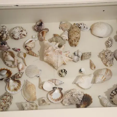 Casa Di Mimma Reggio Calabria