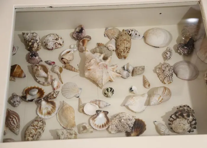 Casa Di Mimma 雷焦卡拉布里亚